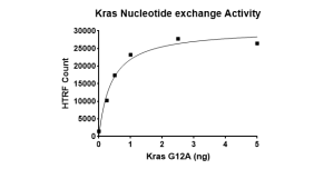 Kras G12A Nucleotide Exchange Assay Kit